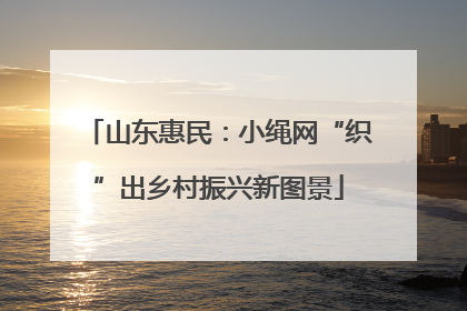 山东惠民：小绳网“织”出乡村振兴新图景