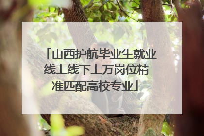 山西护航毕业生就业 线上线下上万岗位精准匹配高校专业