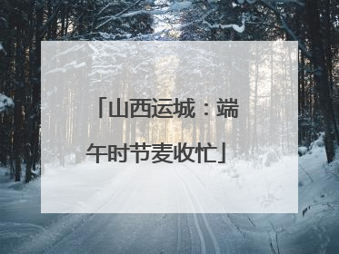 山西运城：端午时节麦收忙