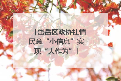 岱岳区政协社情民意“小信息”实现“大作为”