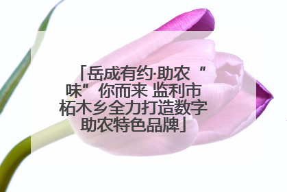 岳成有约·助农“味”你而来 监利市柘木乡全力打造数字助农特色品牌