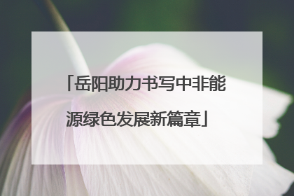 岳阳助力书写中非能源绿色发展新篇章