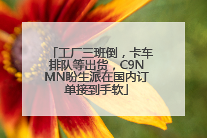 工厂三班倒，卡车排队等出货，C9NMN盼生派在国内订单接到手软
