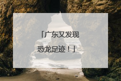 广东又发现恐龙足迹！