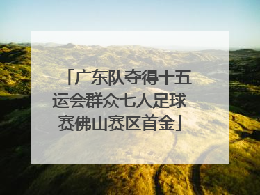 广东队夺得十五运会群众七人足球赛佛山赛区首金