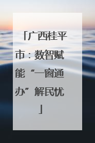 广西桂平市：数智赋能“一窗通办”解民忧