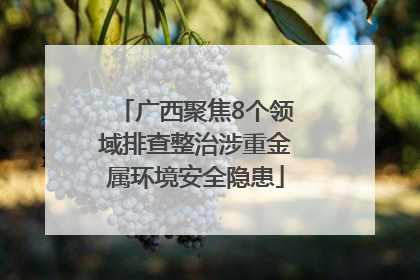 广西聚焦8个领域排查整治涉重金属环境安全隐患