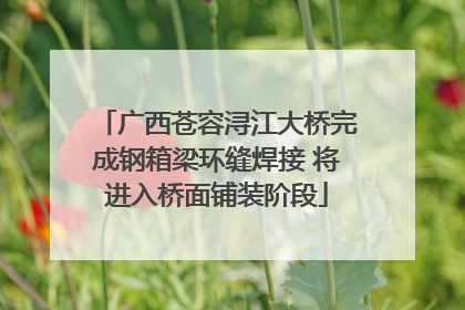 广西苍容浔江大桥完成钢箱梁环缝焊接 将进入桥面铺装阶段