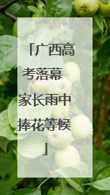 广西高考落幕 家长雨中捧花等候