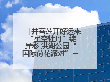 并蒂莲开好运来 “星空牡丹”绽异彩 洪湖公园“国际荷花派对”三天迎客六万