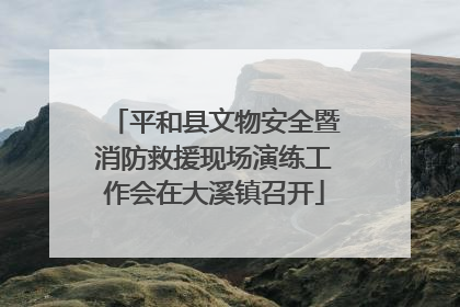 平和县文物安全暨消防救援现场演练工作会在大溪镇召开