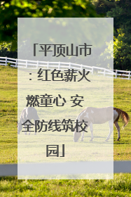平顶山市：红色薪火燃童心 安全防线筑校园