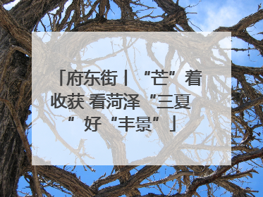 府东街丨“芒”着收获 看菏泽“三夏”好“丰景”
