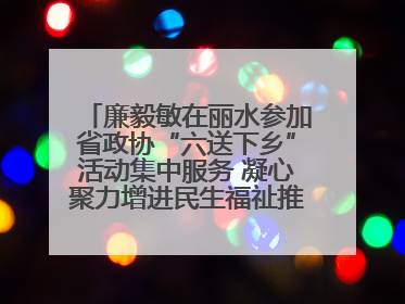 廉毅敏在丽水参加省政协“六送下乡”活动集中服务 凝心聚力增进民生福祉推进共同富裕