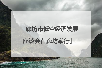 廊坊市低空经济发展座谈会在廊坊举行