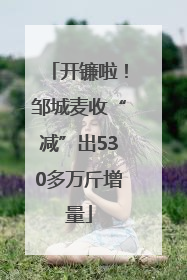 开镰啦！邹城麦收“减”出530多万斤增量