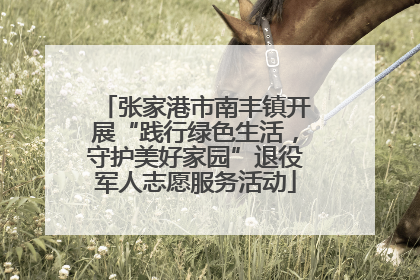 张家港市南丰镇开展“践行绿色生活，守护美好家园”退役军人志愿服务活动