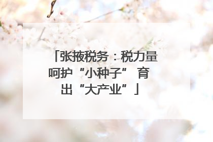 张掖税务：税力量呵护“小种子” 育出“大产业”