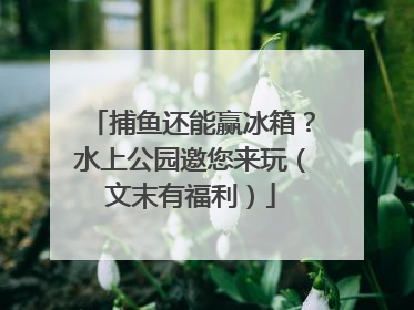 捕鱼还能赢冰箱？水上公园邀您来玩（文末有福利）