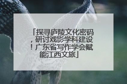 探寻庐陵文化密码，研讨戏影学科建设！广东省写作学会赋能江西文旅