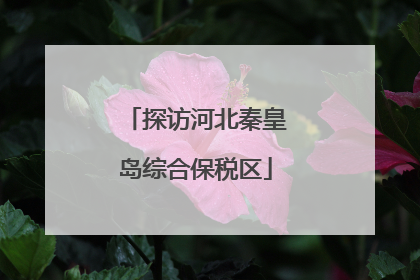 探访河北秦皇岛综合保税区