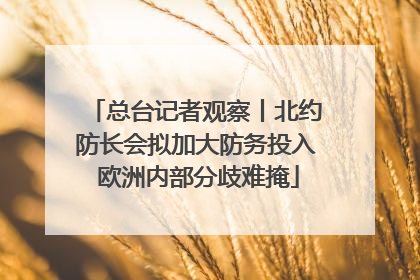 总台记者观察丨北约防长会拟加大防务投入 欧洲内部分歧难掩