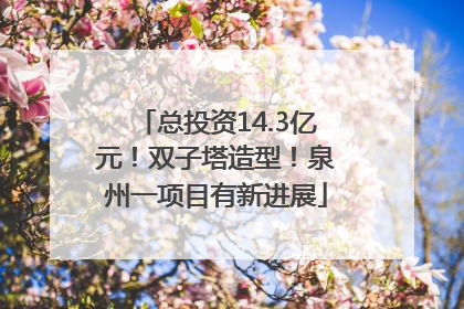 总投资14.3亿元！双子塔造型！泉州一项目有新进展