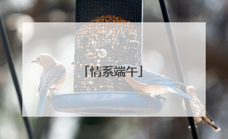 情系端午