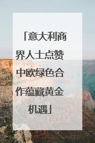 意大利商界人士点赞中欧绿色合作蕴藏黄金机遇