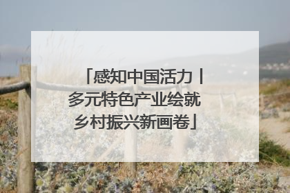 感知中国活力丨多元特色产业绘就乡村振兴新画卷