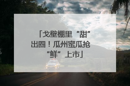 戈壁棚里“甜”出圈！瓜州蜜瓜抢“鲜”上市