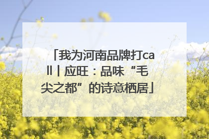 我为河南品牌打call丨应旺：品味“毛尖之都”的诗意栖居