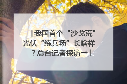我国首个“沙戈荒”光伏“练兵场”长啥样？总台记者探访→