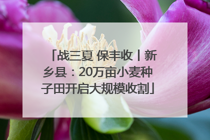 战三夏 保丰收丨新乡县：20万亩小麦种子田开启大规模收割