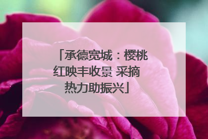 承德宽城：樱桃红映丰收景 采摘热力助振兴