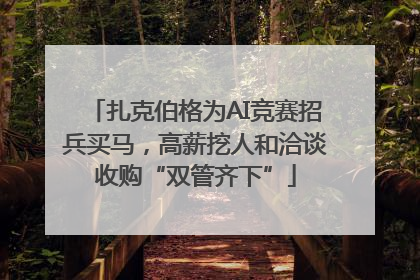 扎克伯格为AI竞赛招兵买马，高薪挖人和洽谈收购“双管齐下”