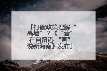打破政策理解“高墙”？《“营”在自贸港 “画”说新海南》发布