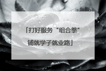 打好服务“组合拳” 铺就学子就业路