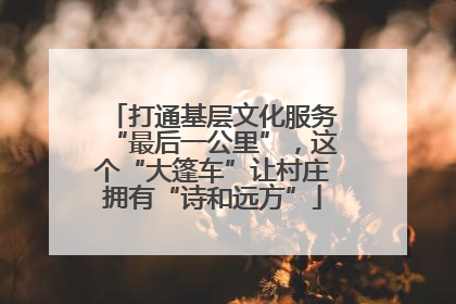 打通基层文化服务“最后一公里”，这个“大篷车”让村庄拥有“诗和远方”