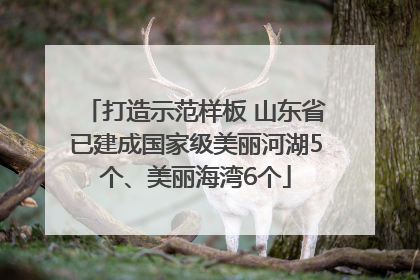 打造示范样板 山东省已建成国家级美丽河湖5个、美丽海湾6个