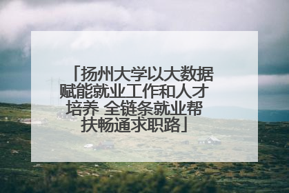 扬州大学以大数据赋能就业工作和人才培养 全链条就业帮扶畅通求职路