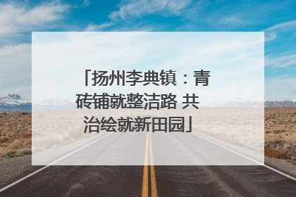 扬州李典镇：青砖铺就整洁路 共治绘就新田园