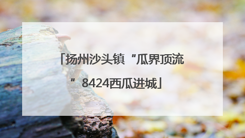 扬州沙头镇“瓜界顶流”8424西瓜进城