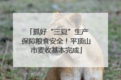 抓好“三夏”生产 保障粮食安全！平顶山市麦收基本完成