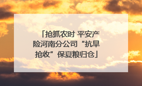 抢抓农时 平安产险河南分公司“抗旱抢收”保夏粮归仓