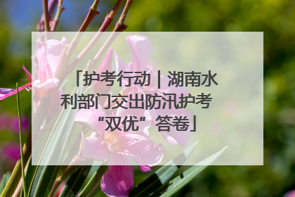 护考行动｜湖南水利部门交出防汛护考“双优”答卷