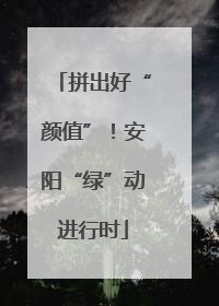 拼出好“颜值”！安阳“绿”动进行时