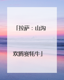 拉萨：山沟欢腾赛牦牛