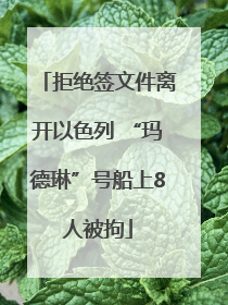 拒绝签文件离开以色列 “玛德琳”号船上8人被拘