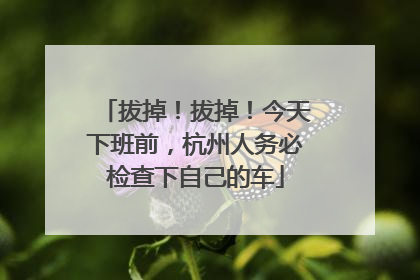 拔掉！拔掉！今天下班前，杭州人务必检查下自己的车